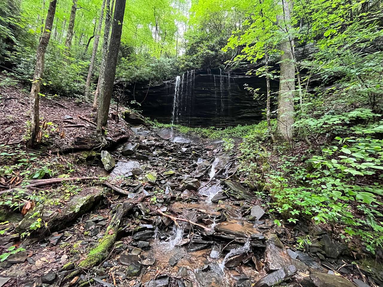 Picture of the site
