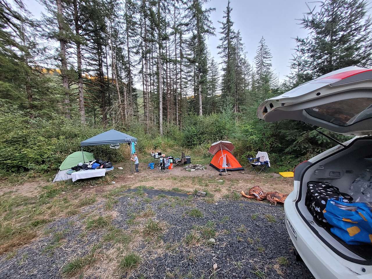 Picture of the site