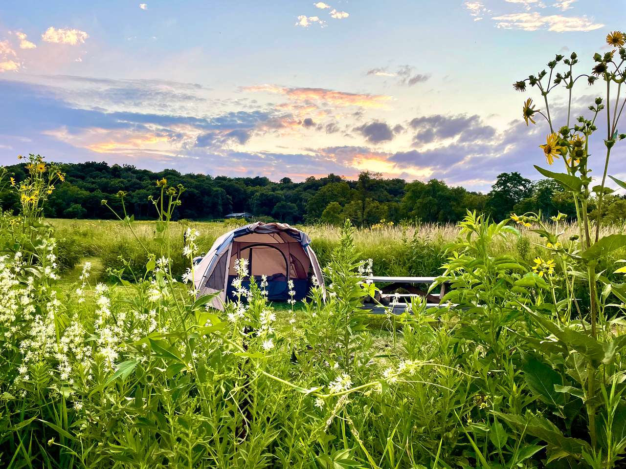 Pink River Ranch in the Driftless