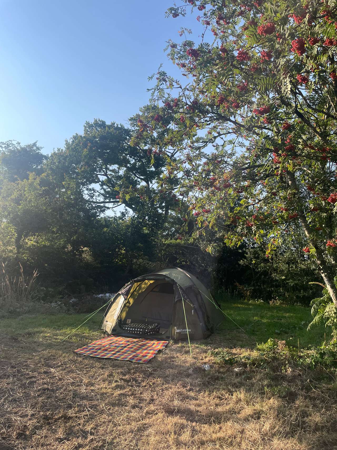 Picture of the site
