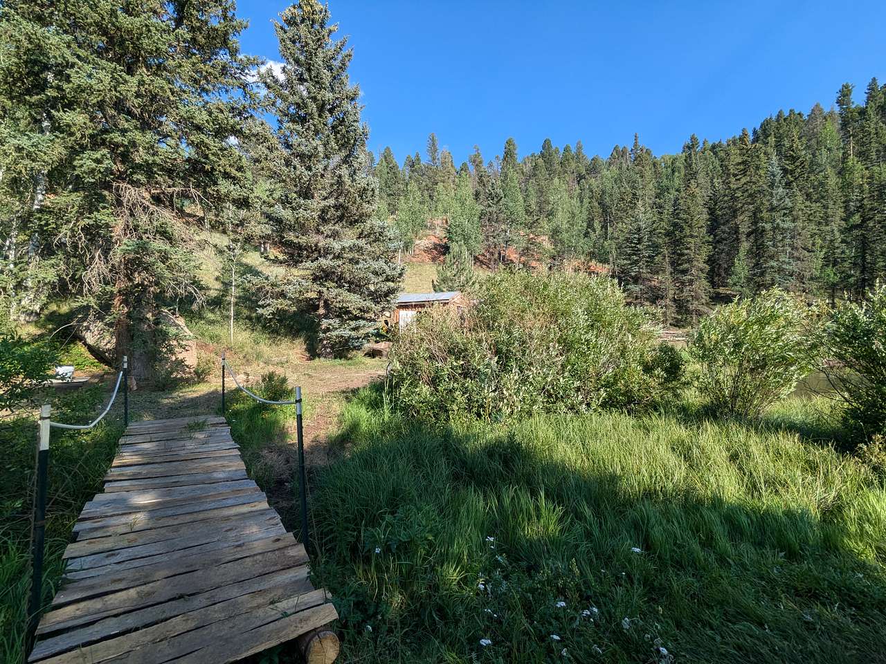 Picture of the site