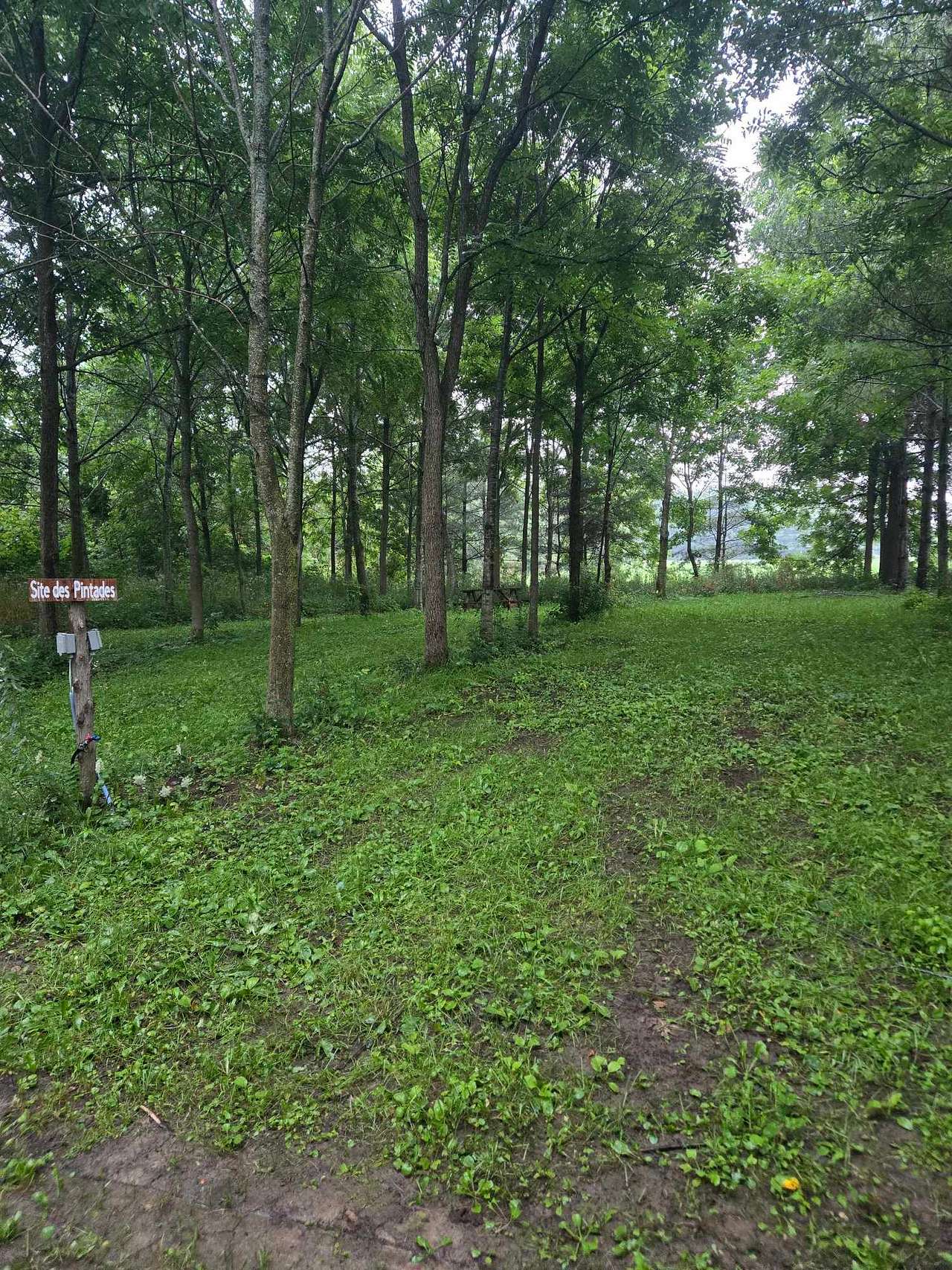 Picture of the site