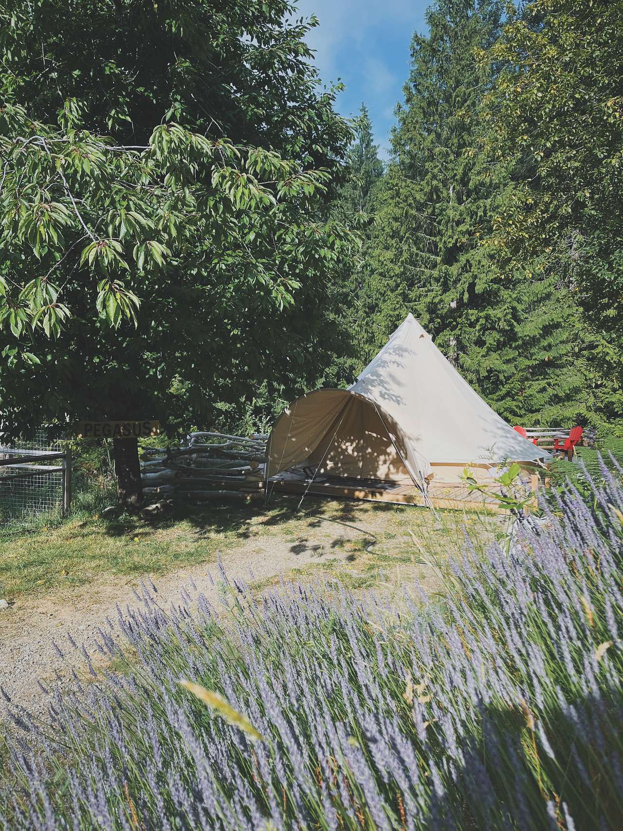 Picture of the site