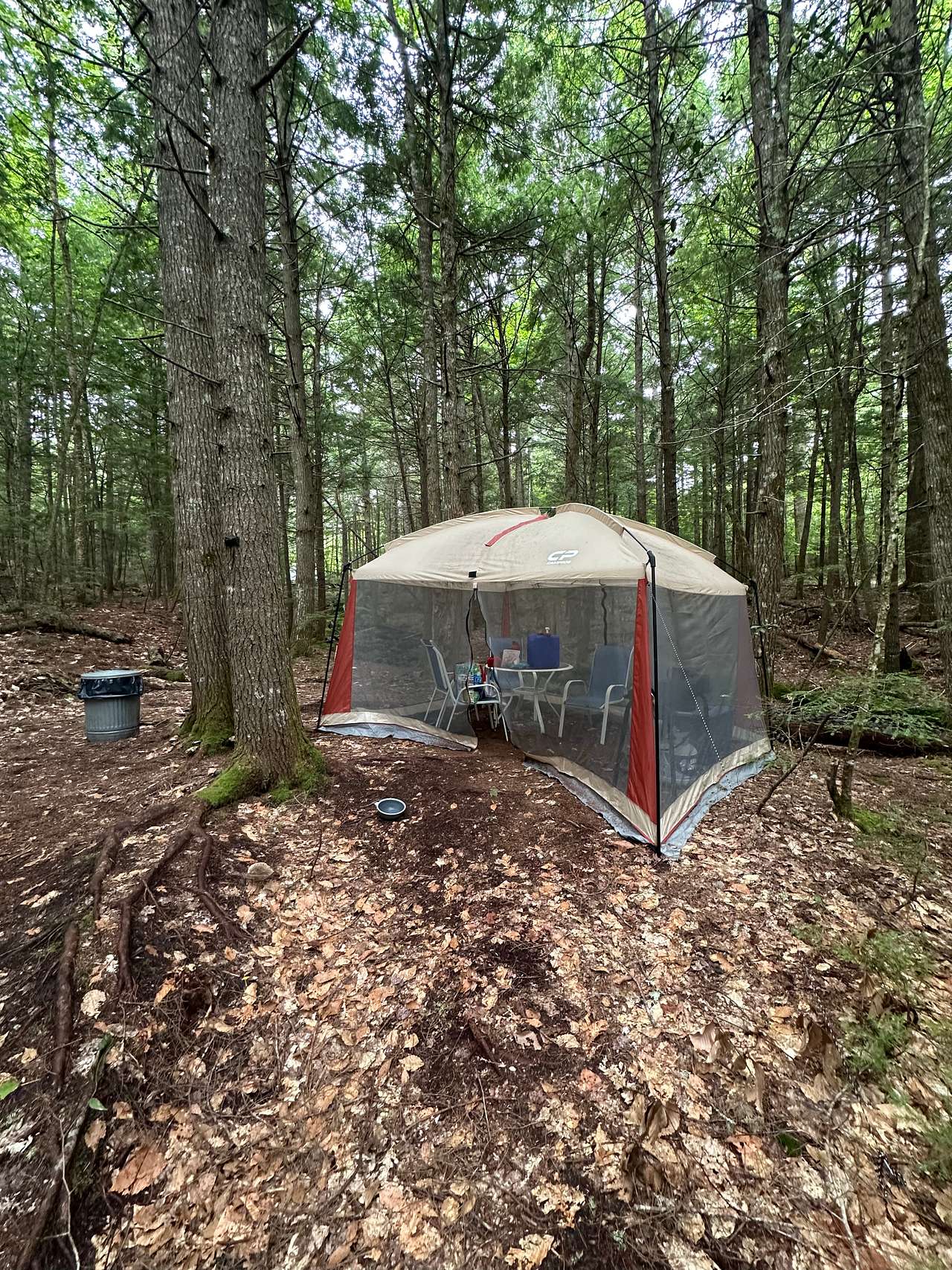 Picture of the site