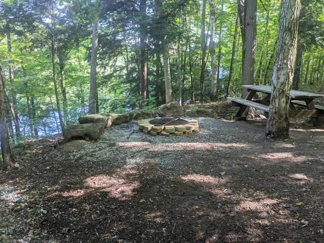 Picture of the site