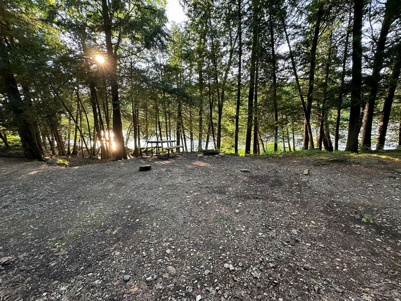 Picture of the site