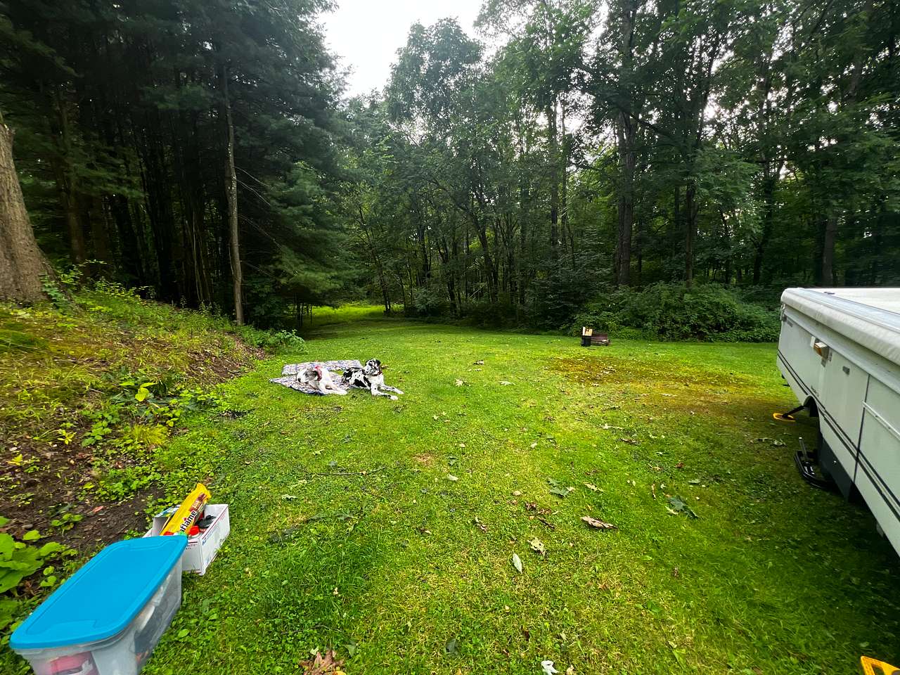 Picture of the site