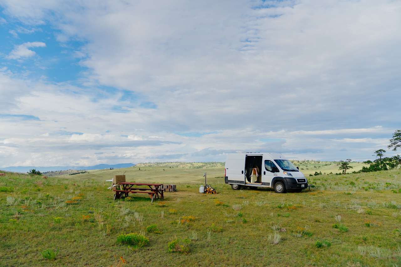 Pronghorn Oasis