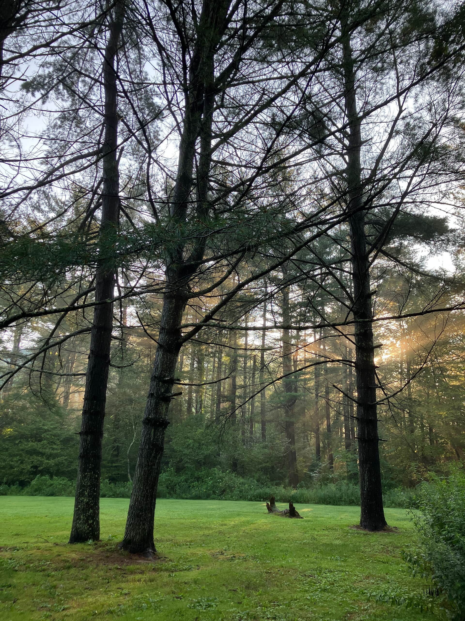 sun beams in the early morning illuminating the campsite
