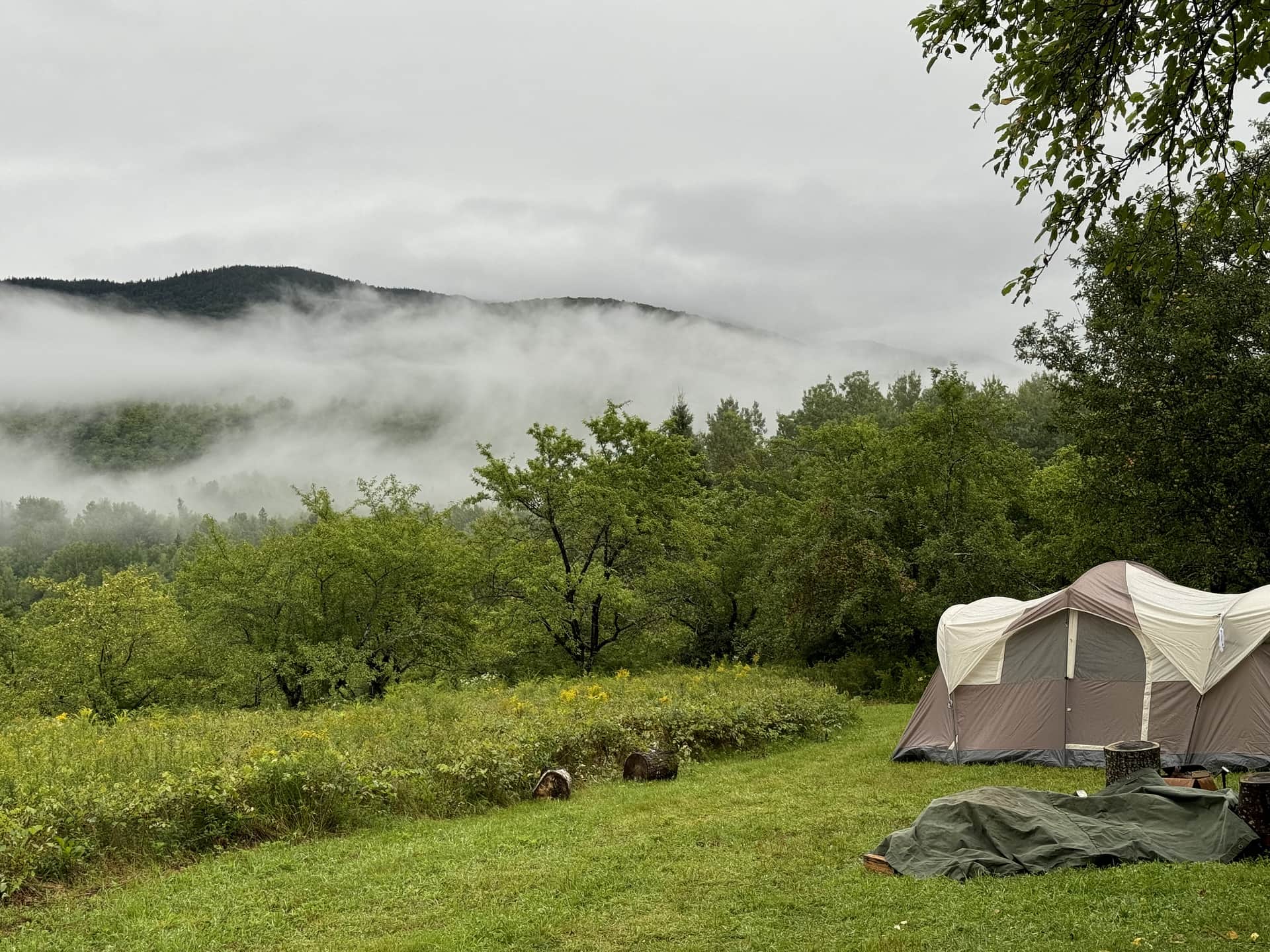 Mead Hill at Mount Cabot Maple