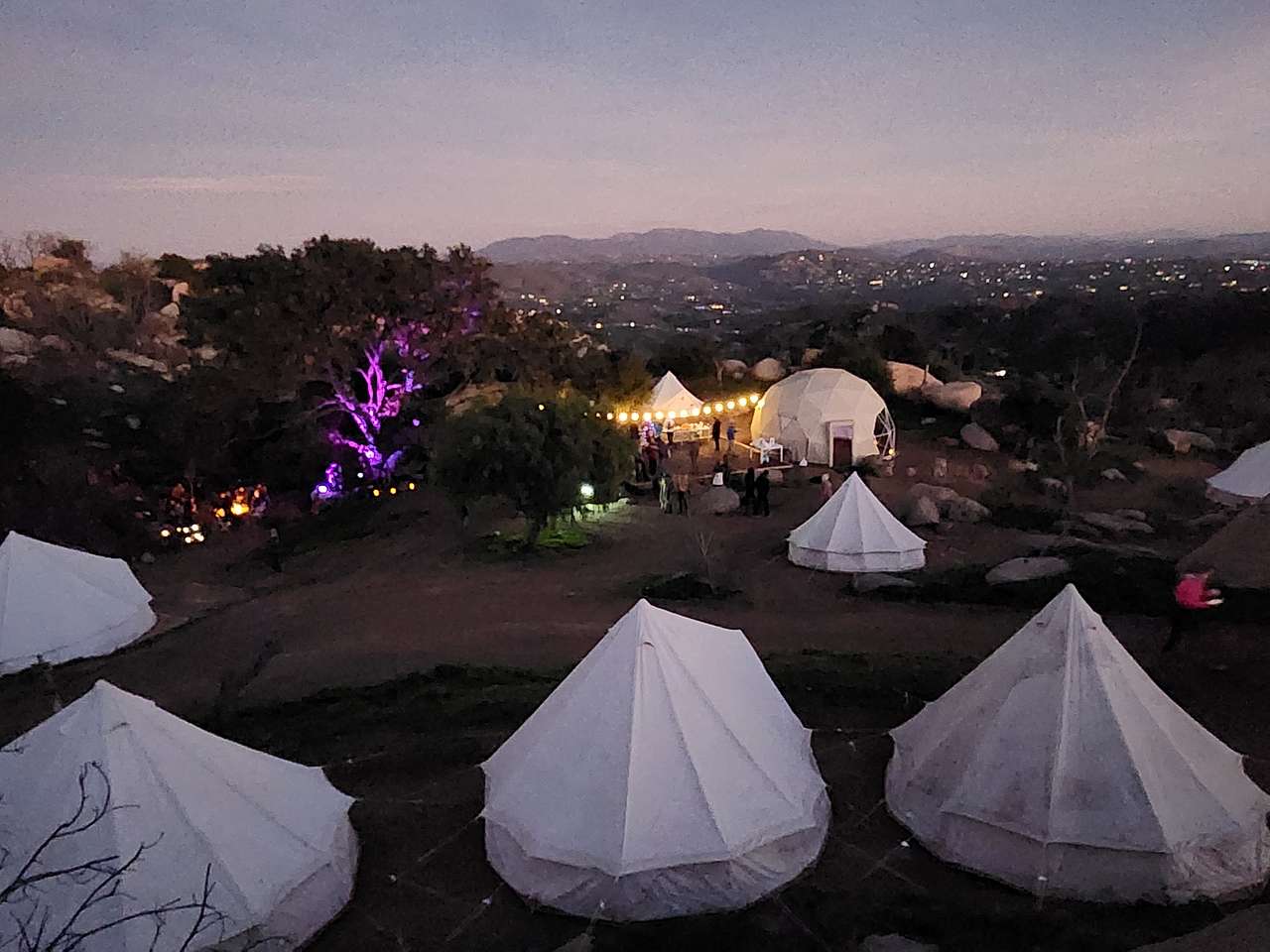 Picture of the site