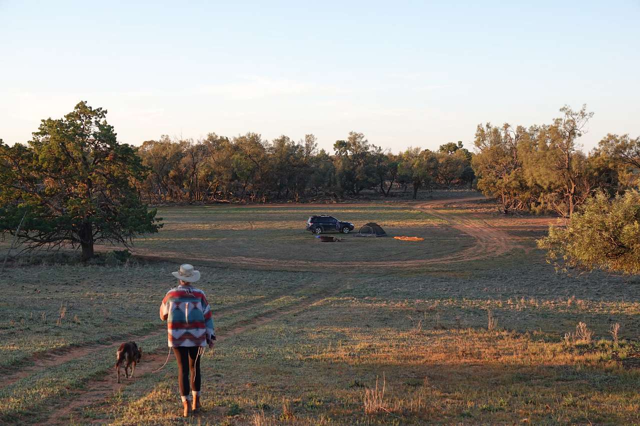 Picture of the site