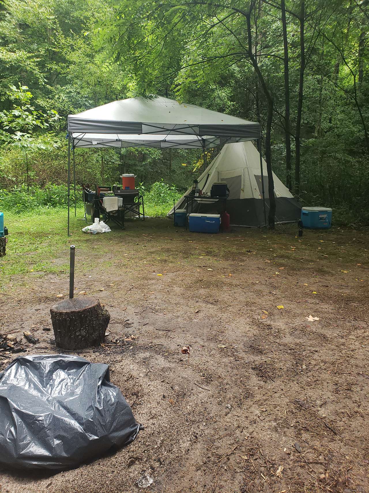 Picture of the site