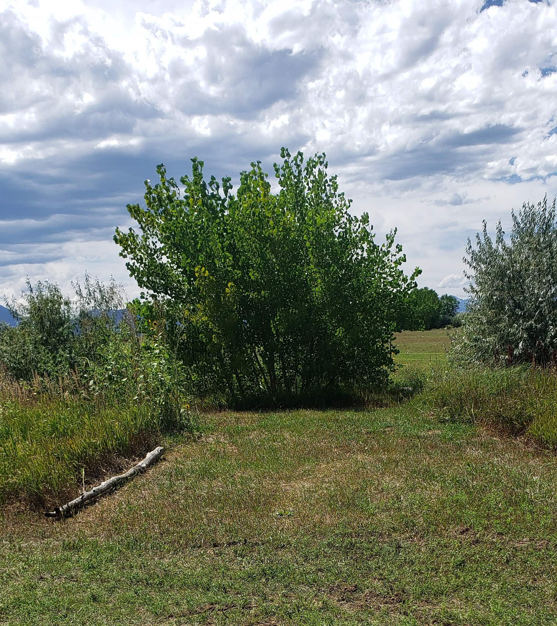 Montgomery Homestead
