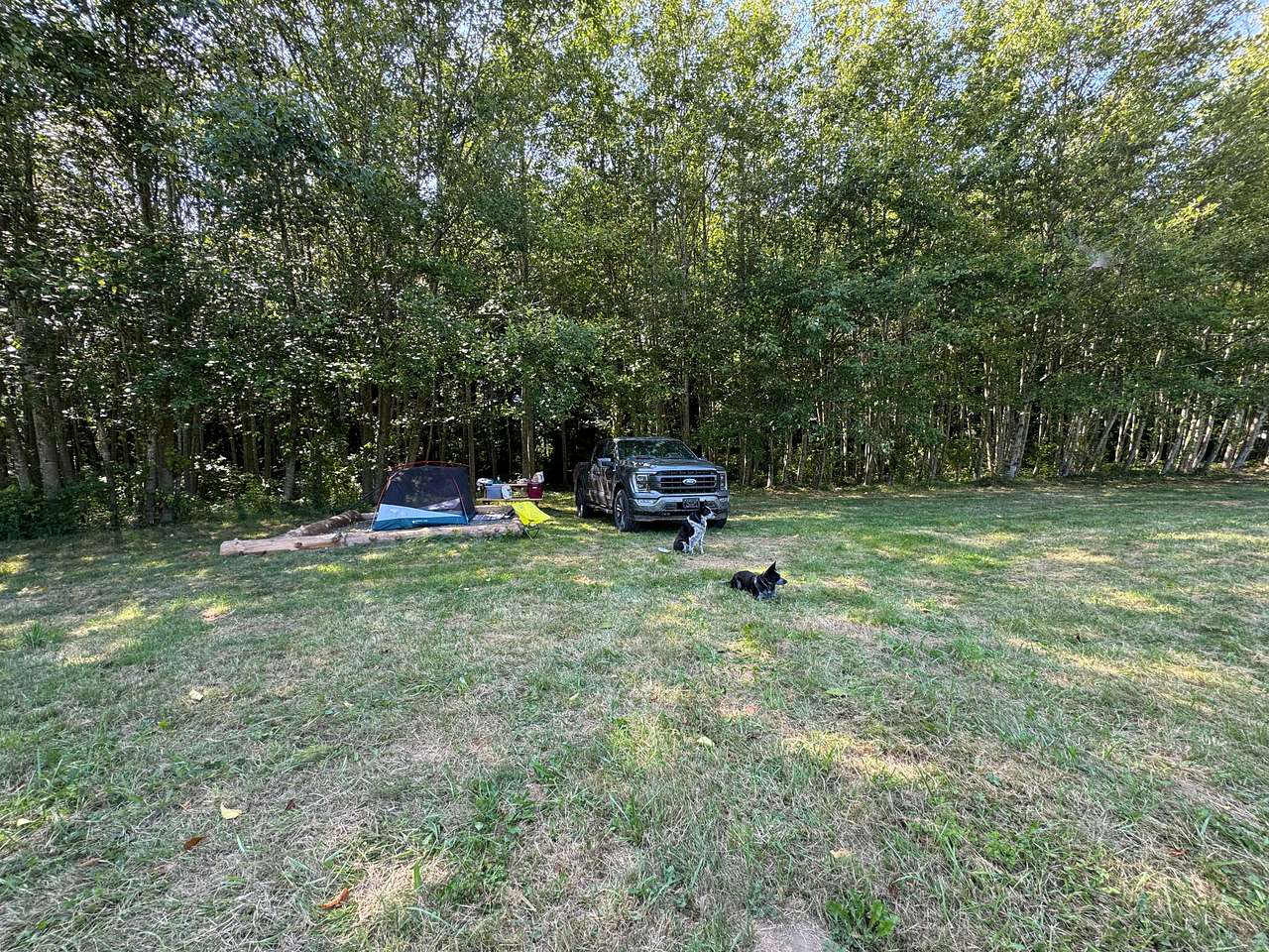 Picture of the site