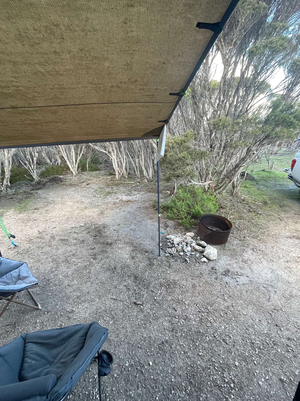 Picture of the site