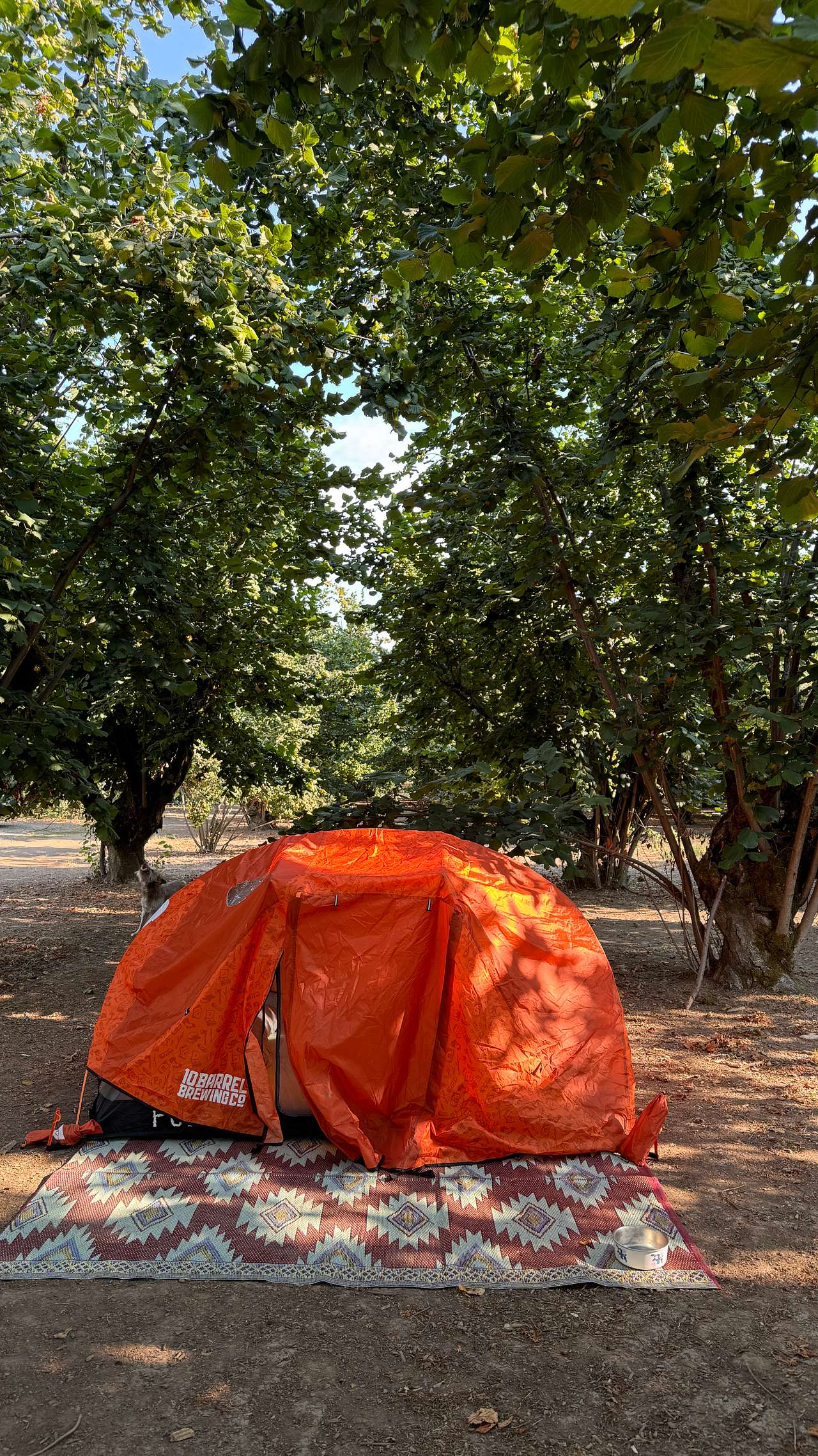 Tranquil Orchard and Wine Tours