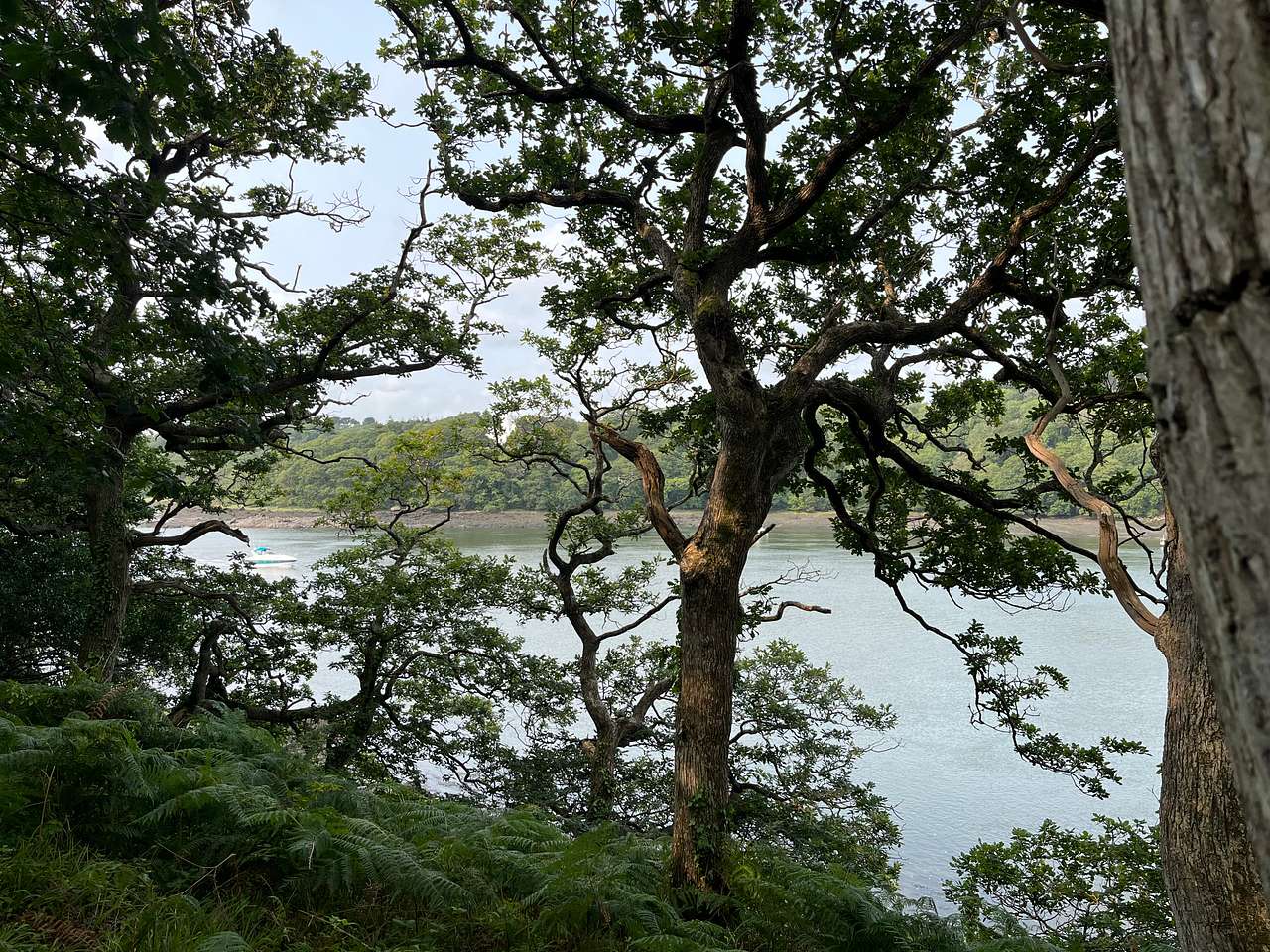 The Little Retreat