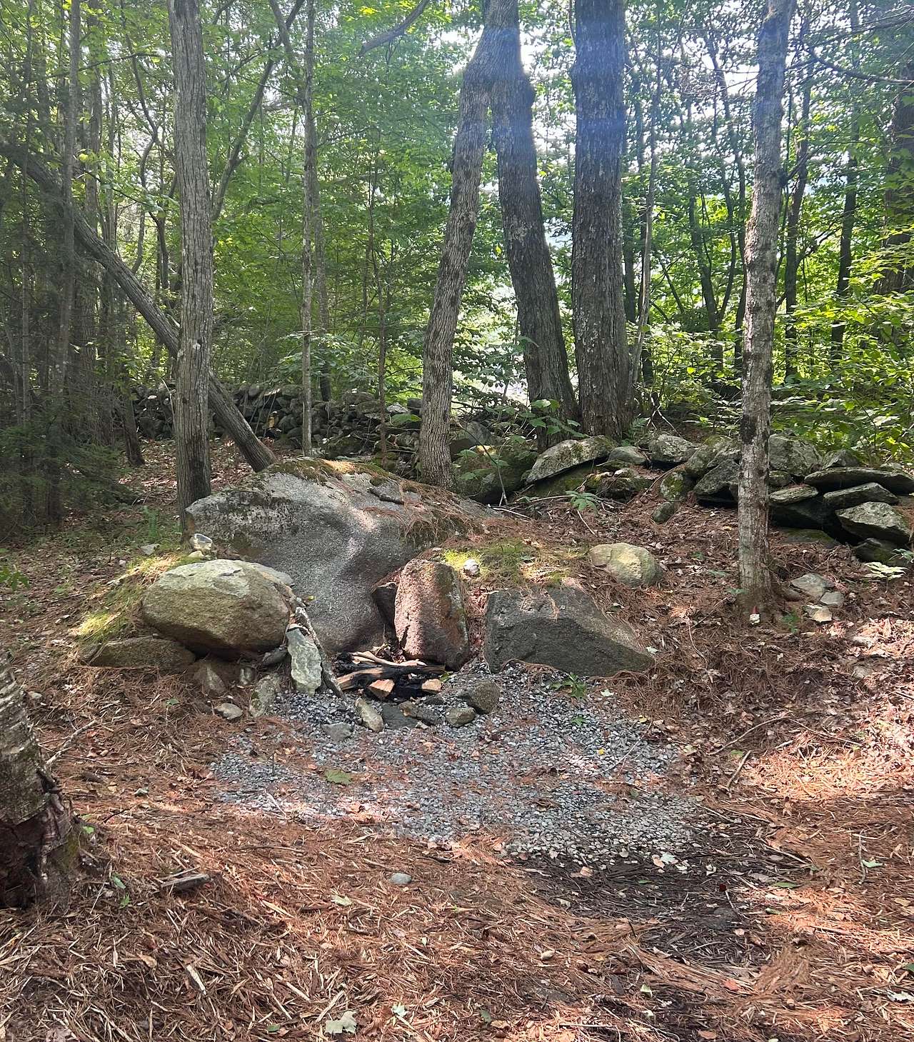 Picture of the site