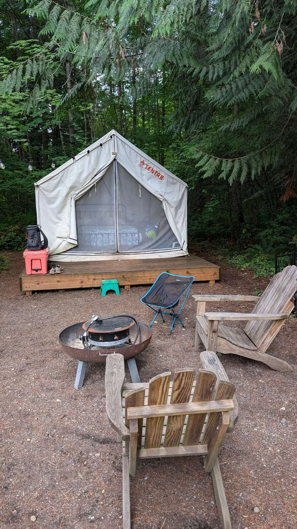 Picture of the site