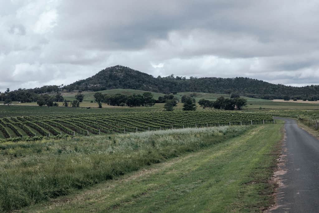 Vans in the Vines @ Lazy Oak Wines