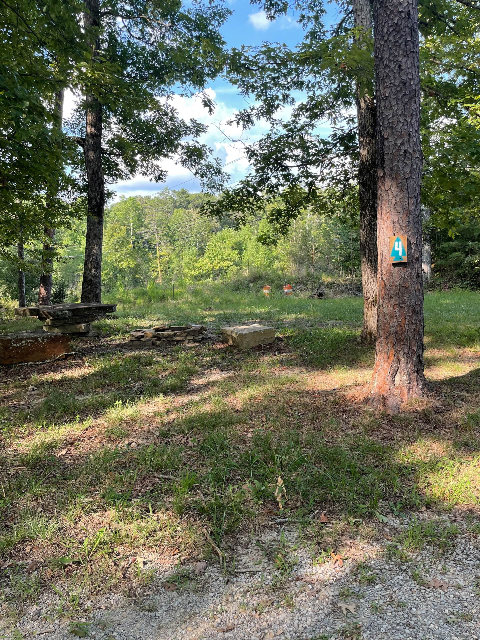 Picture of the site