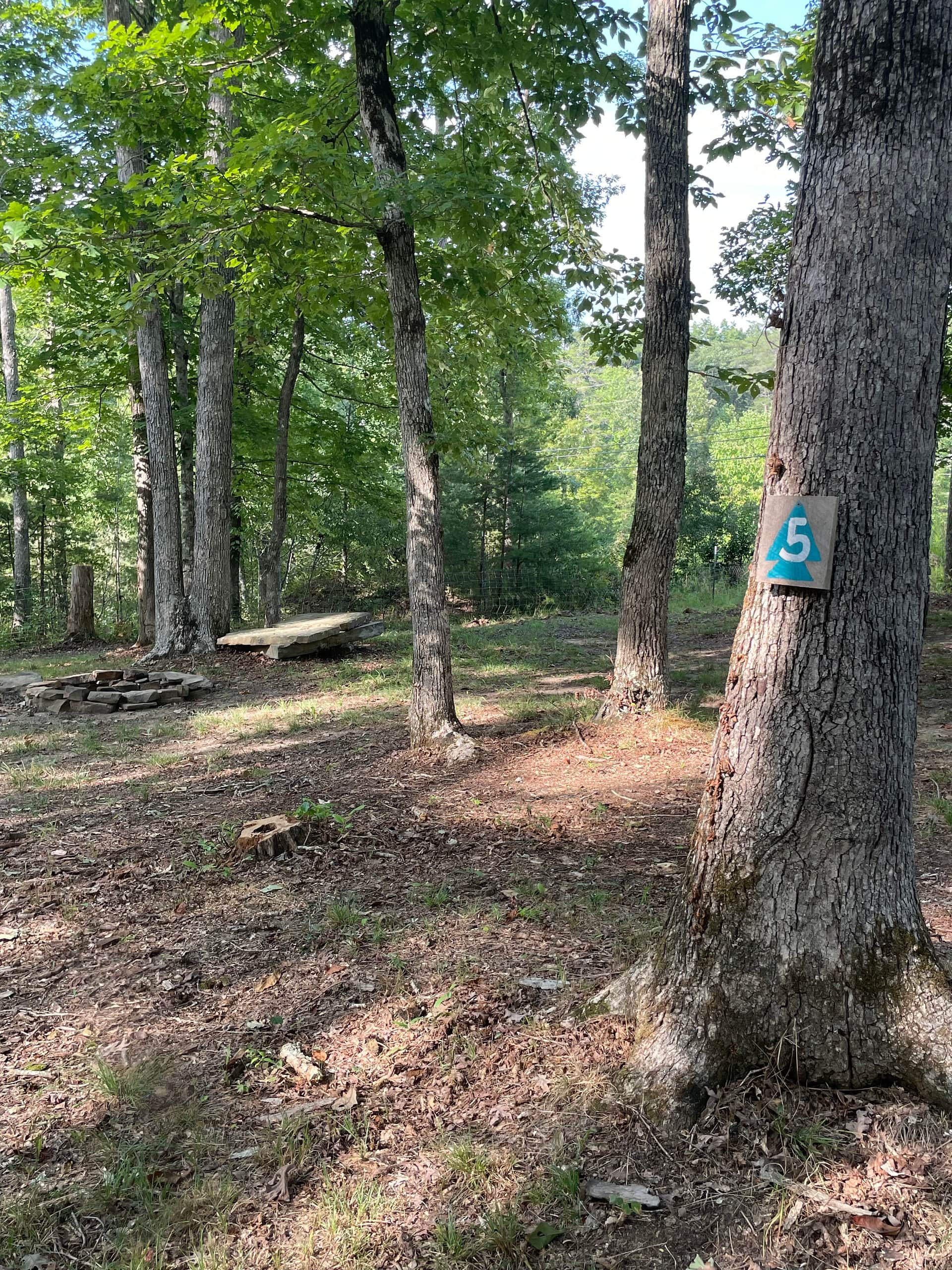 Picture of the site