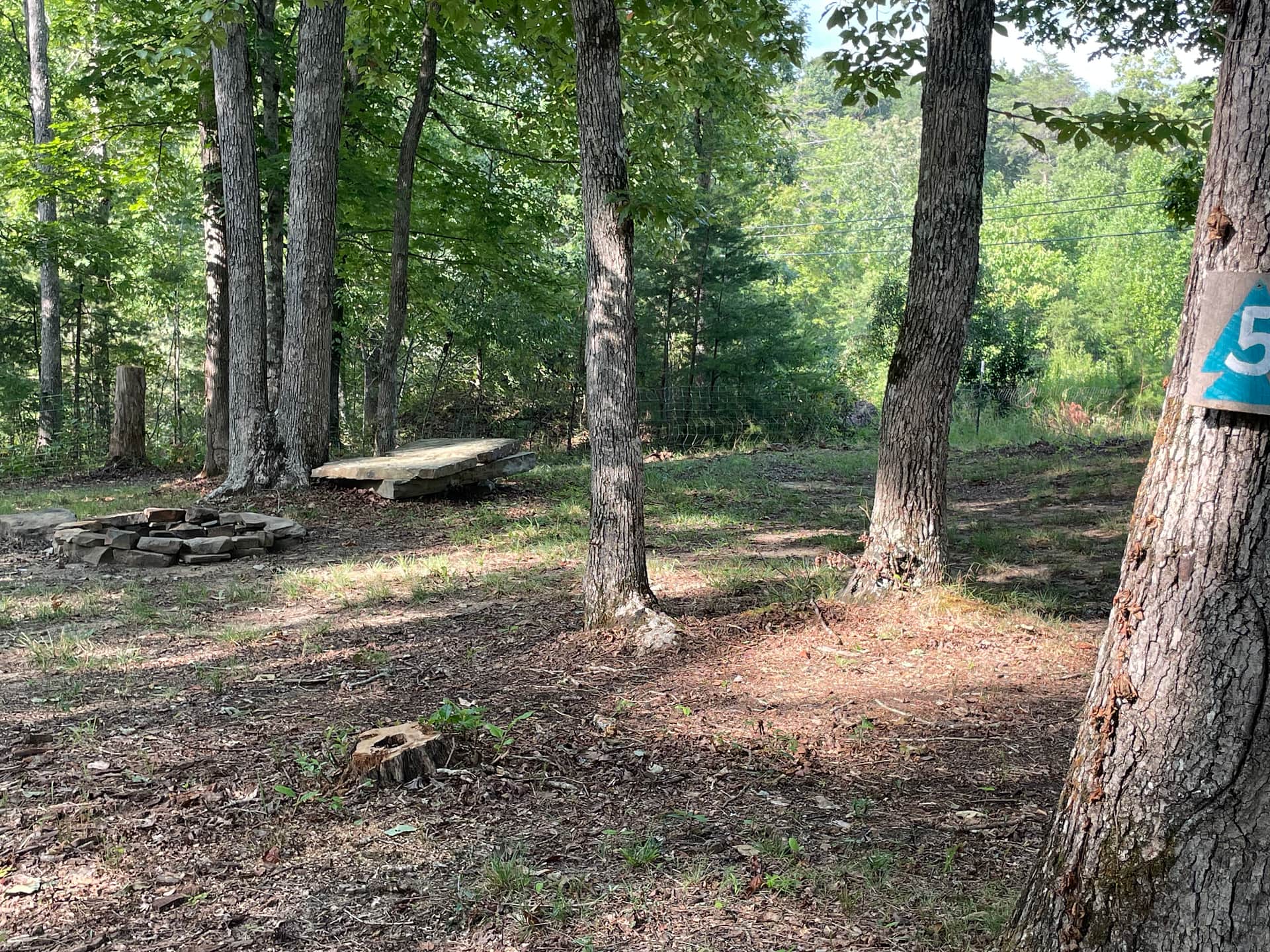 Picture of the site