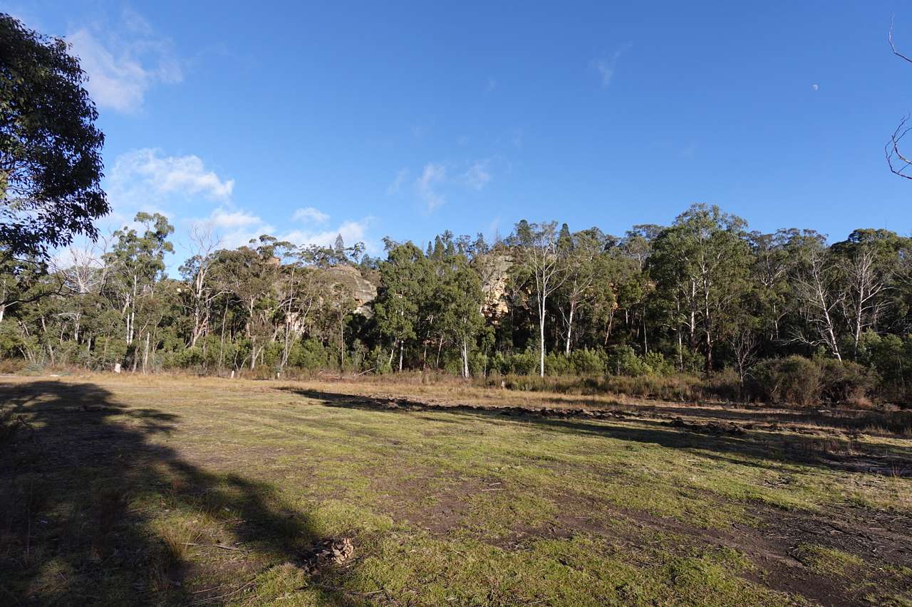 The Wollemi Art Farm