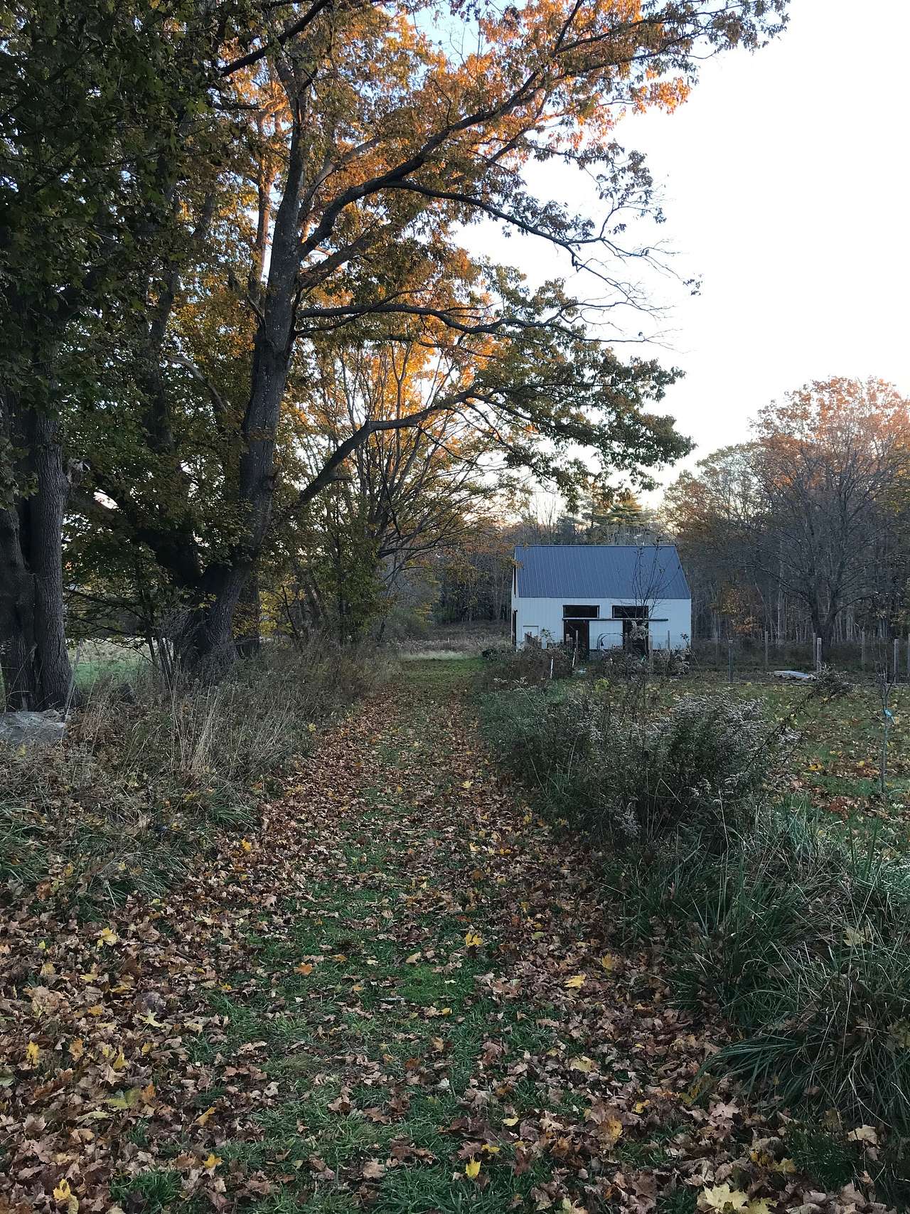 Appleseed Flower Farm at York Beach