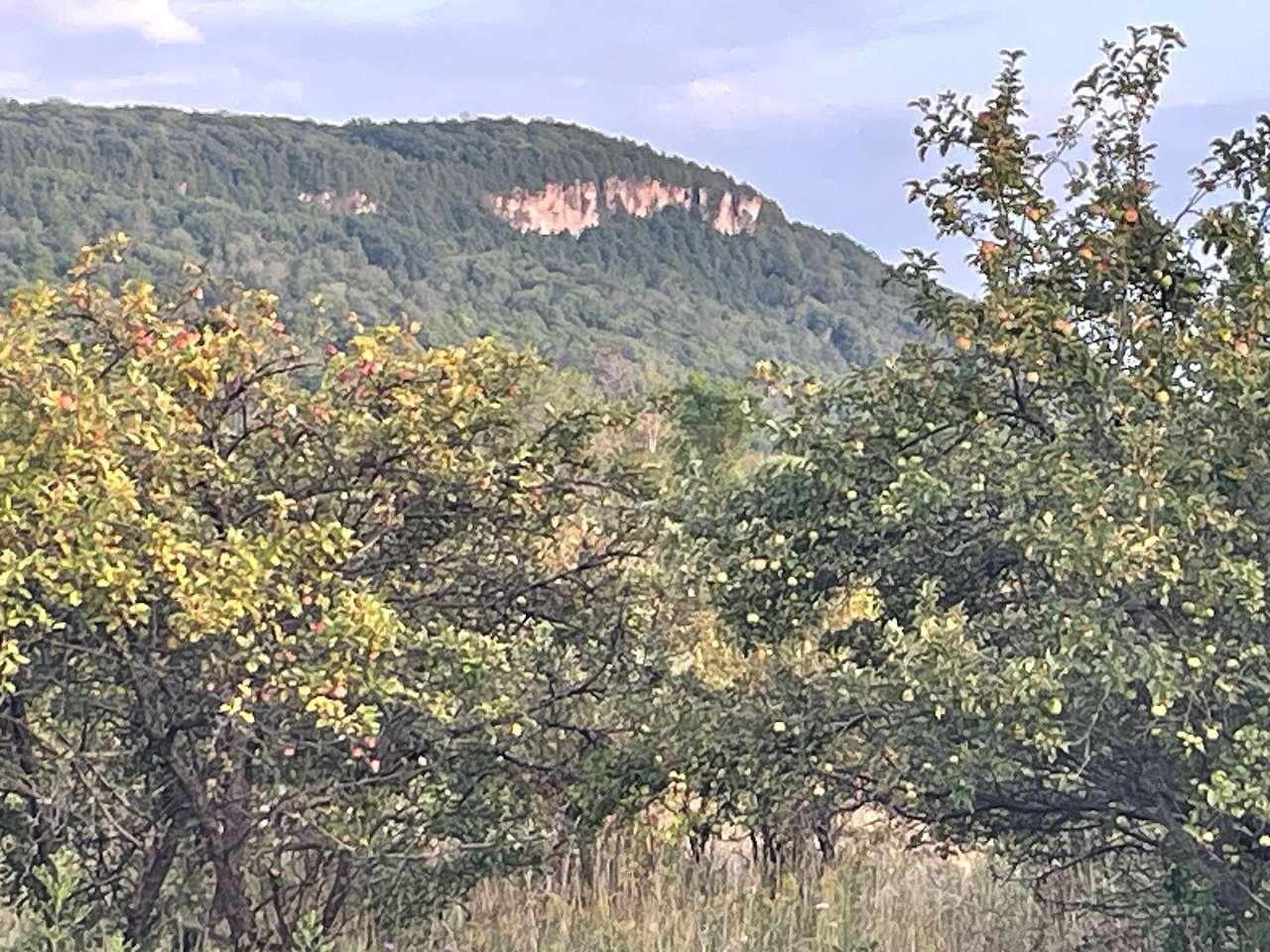 View to the south east from site.