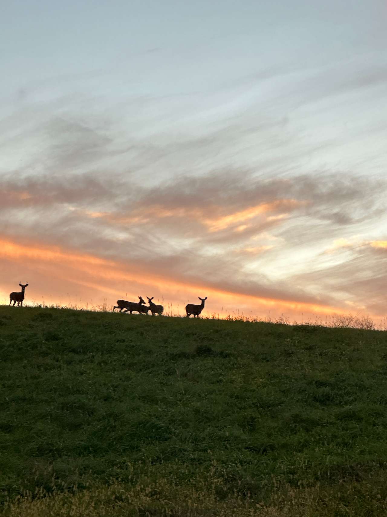 Ash to Oak Farm