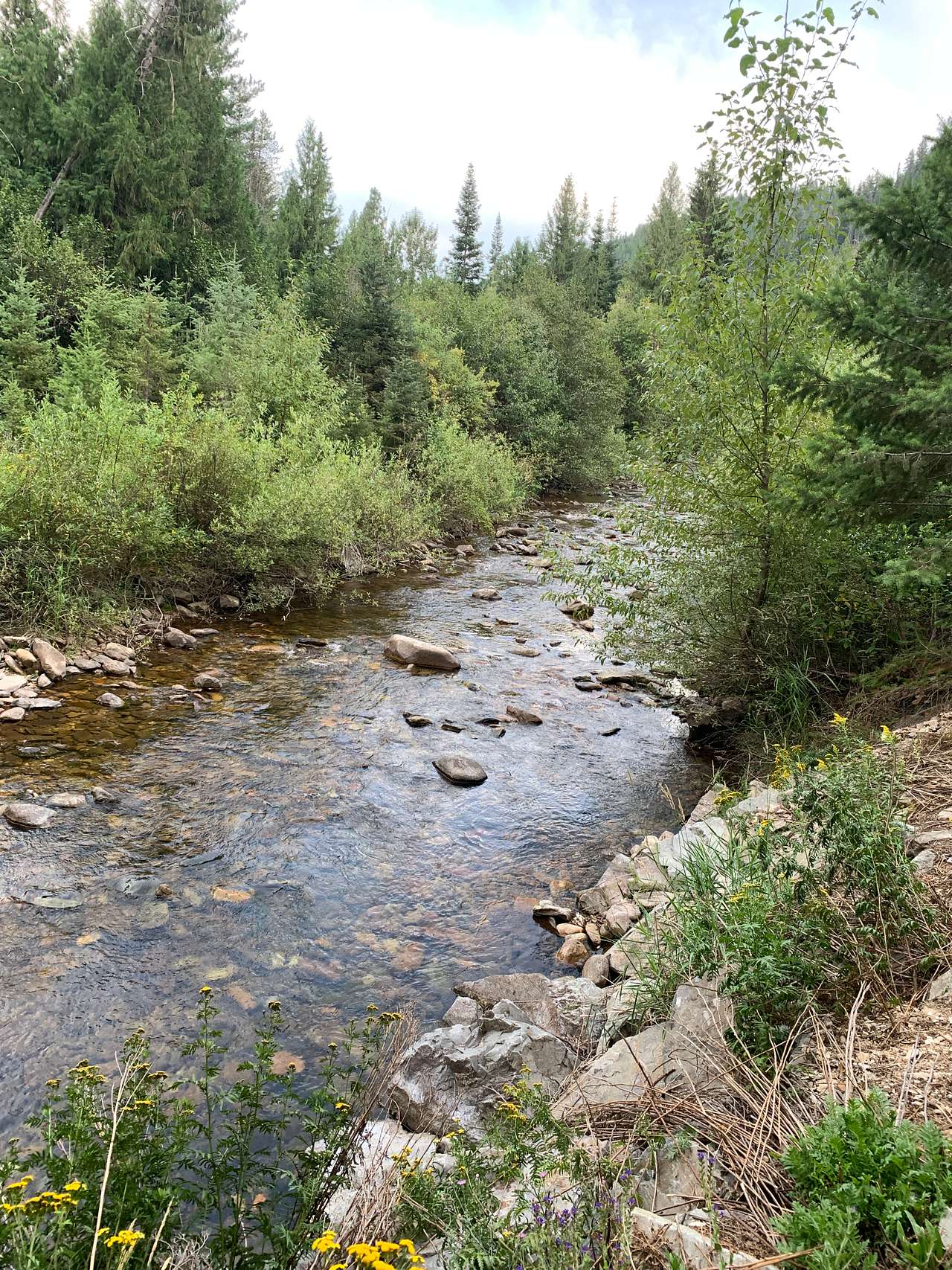 Picture of the site