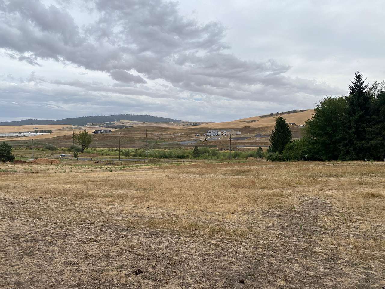 Triple Tree Ranch