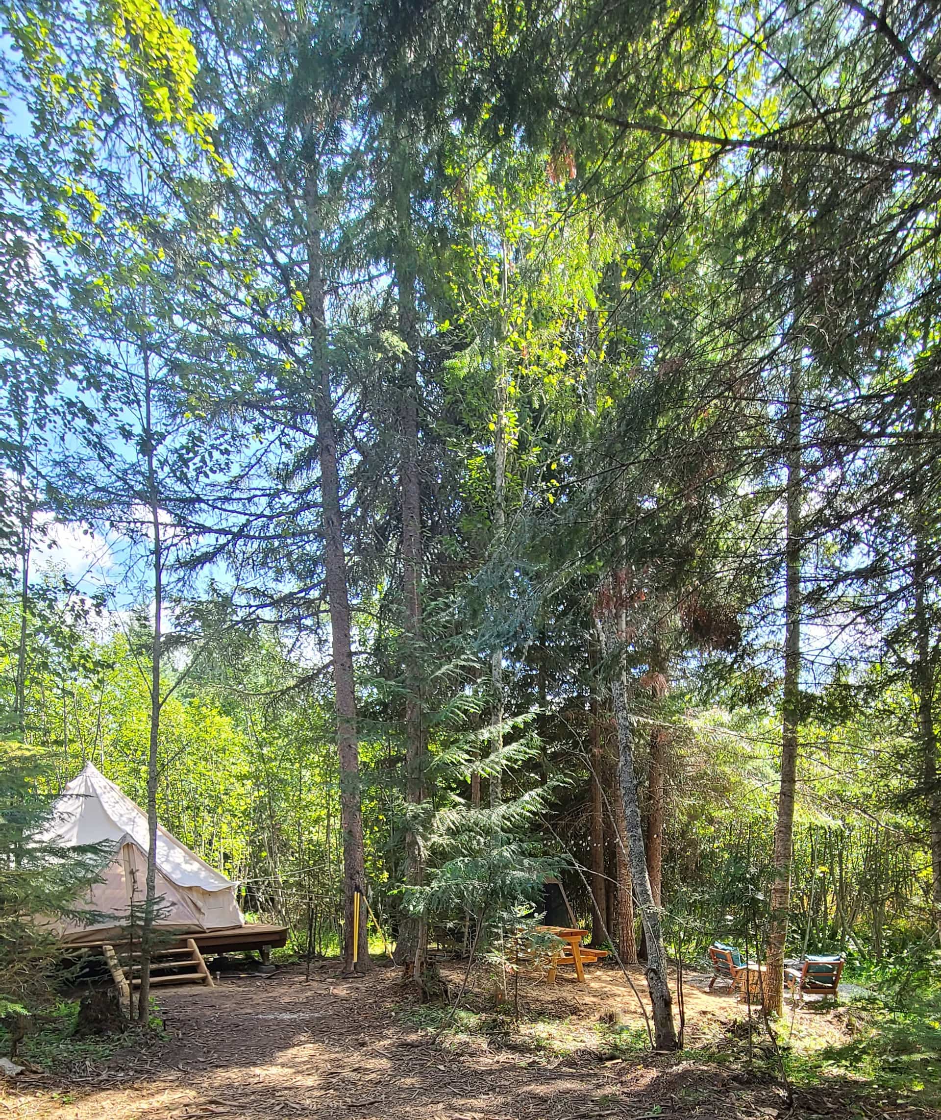 Lost Fainting Goat Ranch