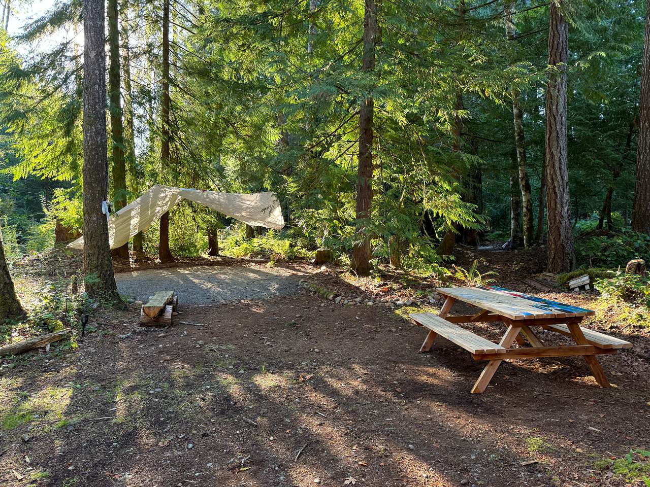 Picture of the site