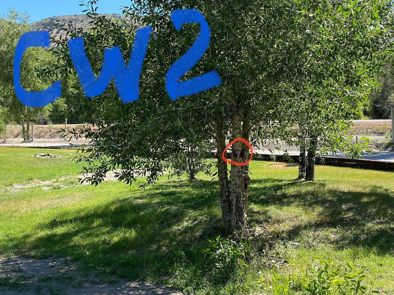 Picture of the site