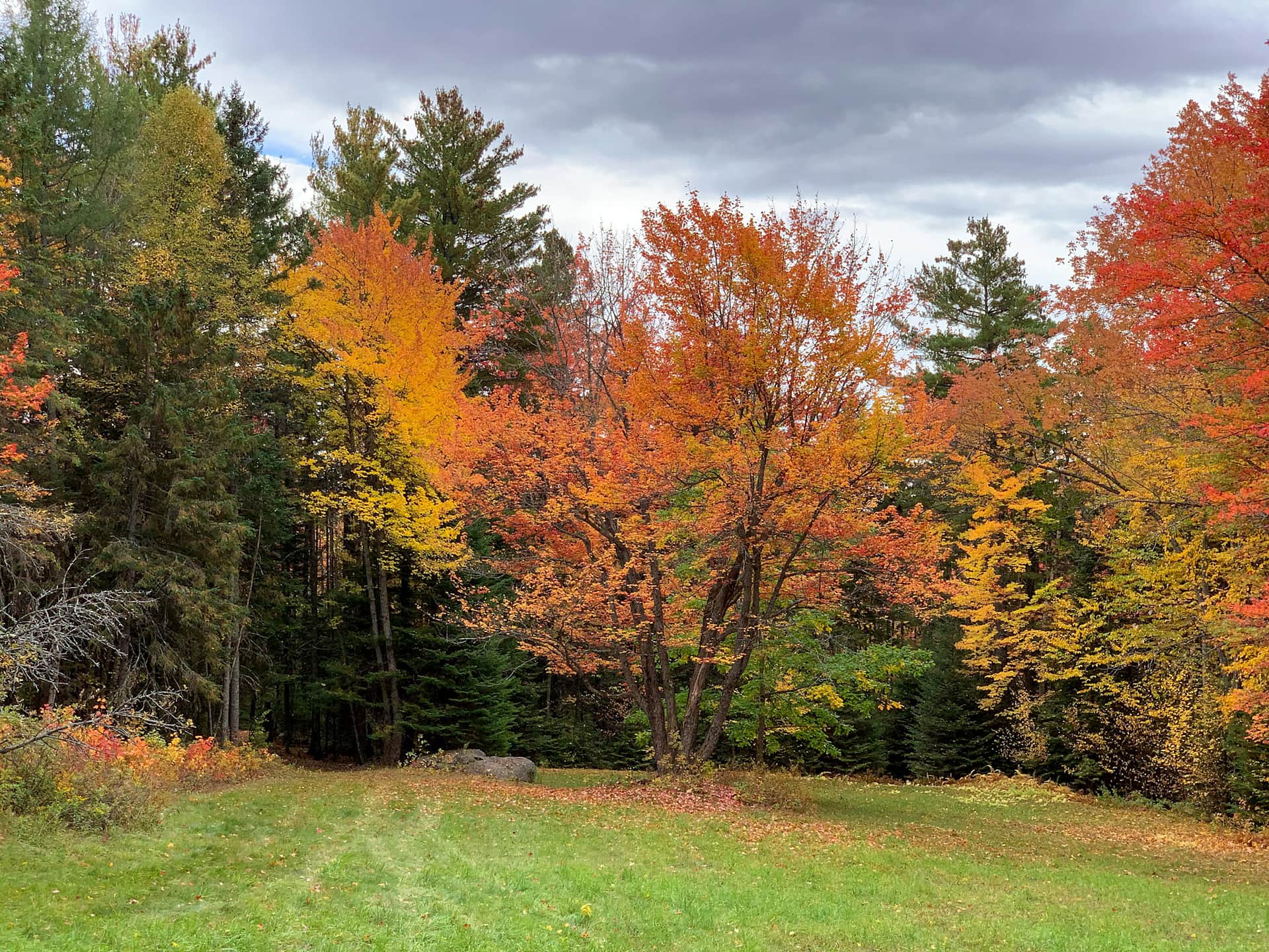 Peaceful Pines campsite in autumn