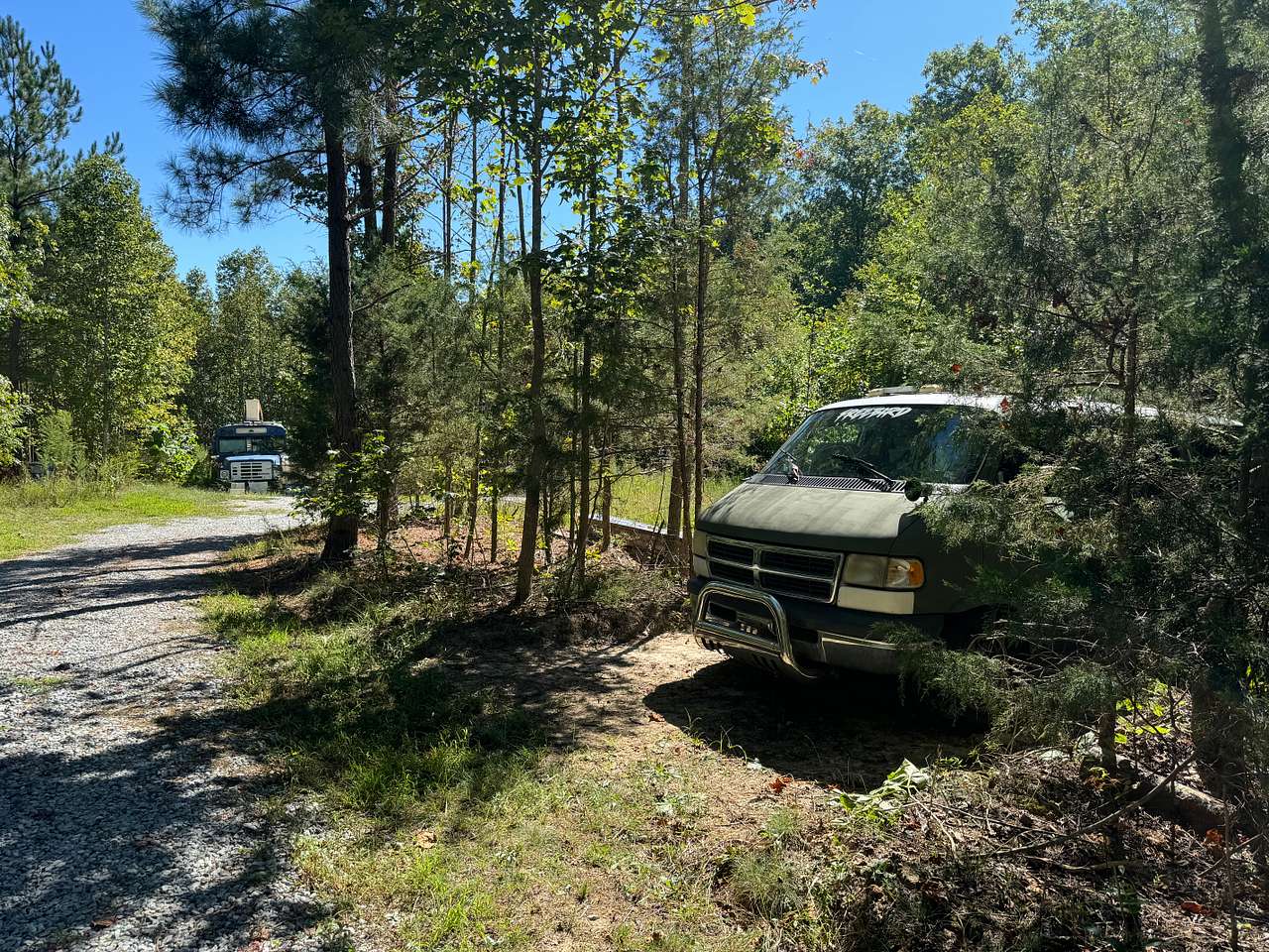 Picture of the site