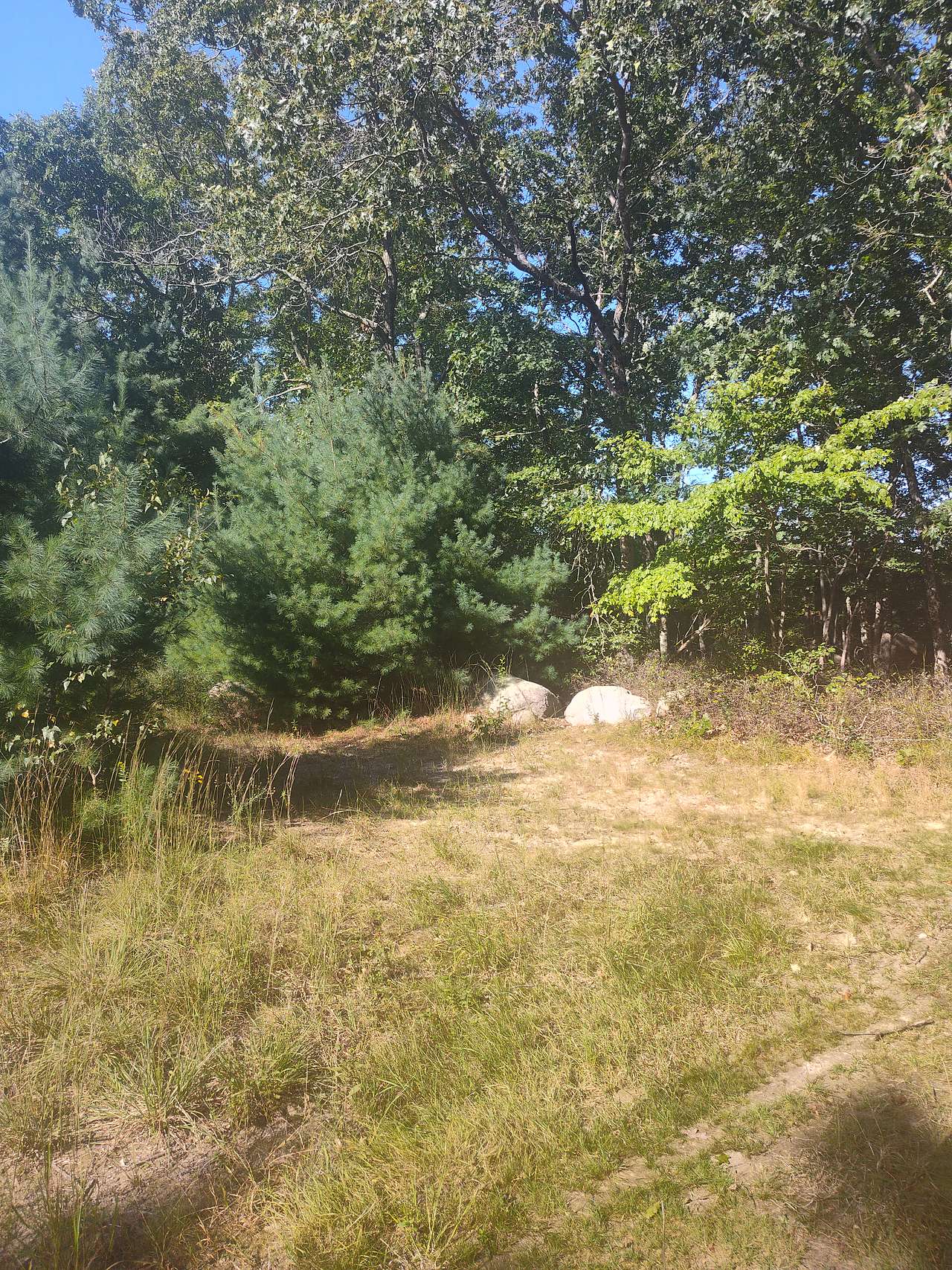 Leyden’s Land Sanctuary