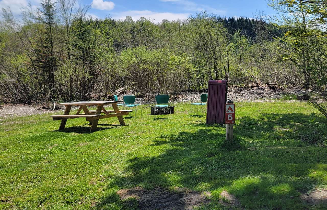 Picture of the site