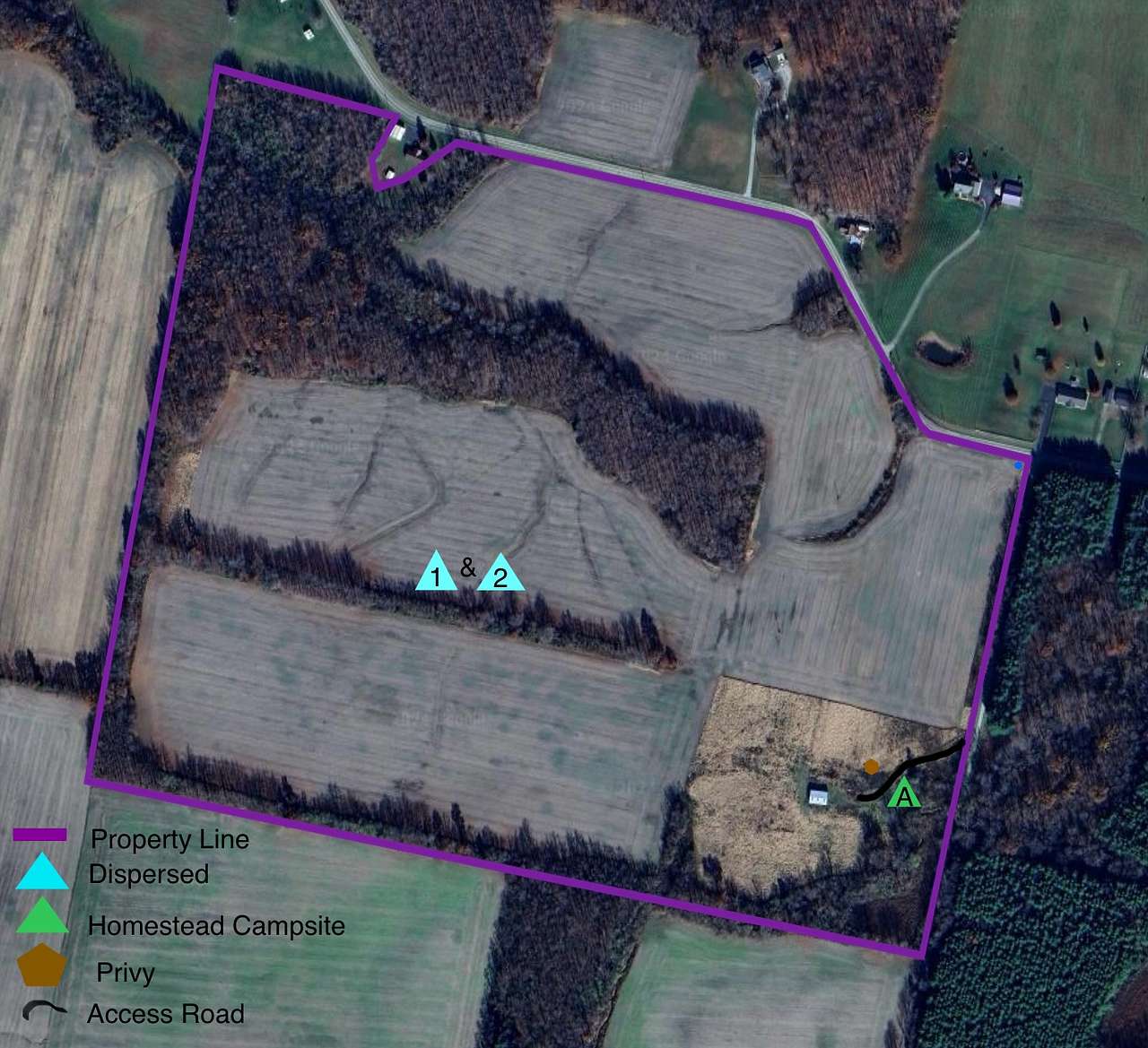 Picture of the site