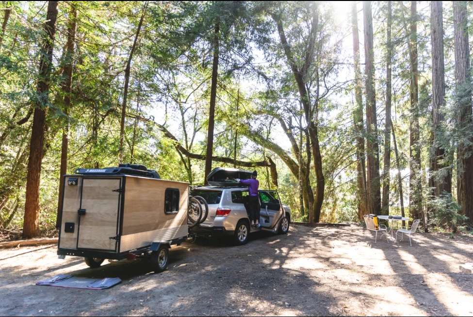 Redwood Grove