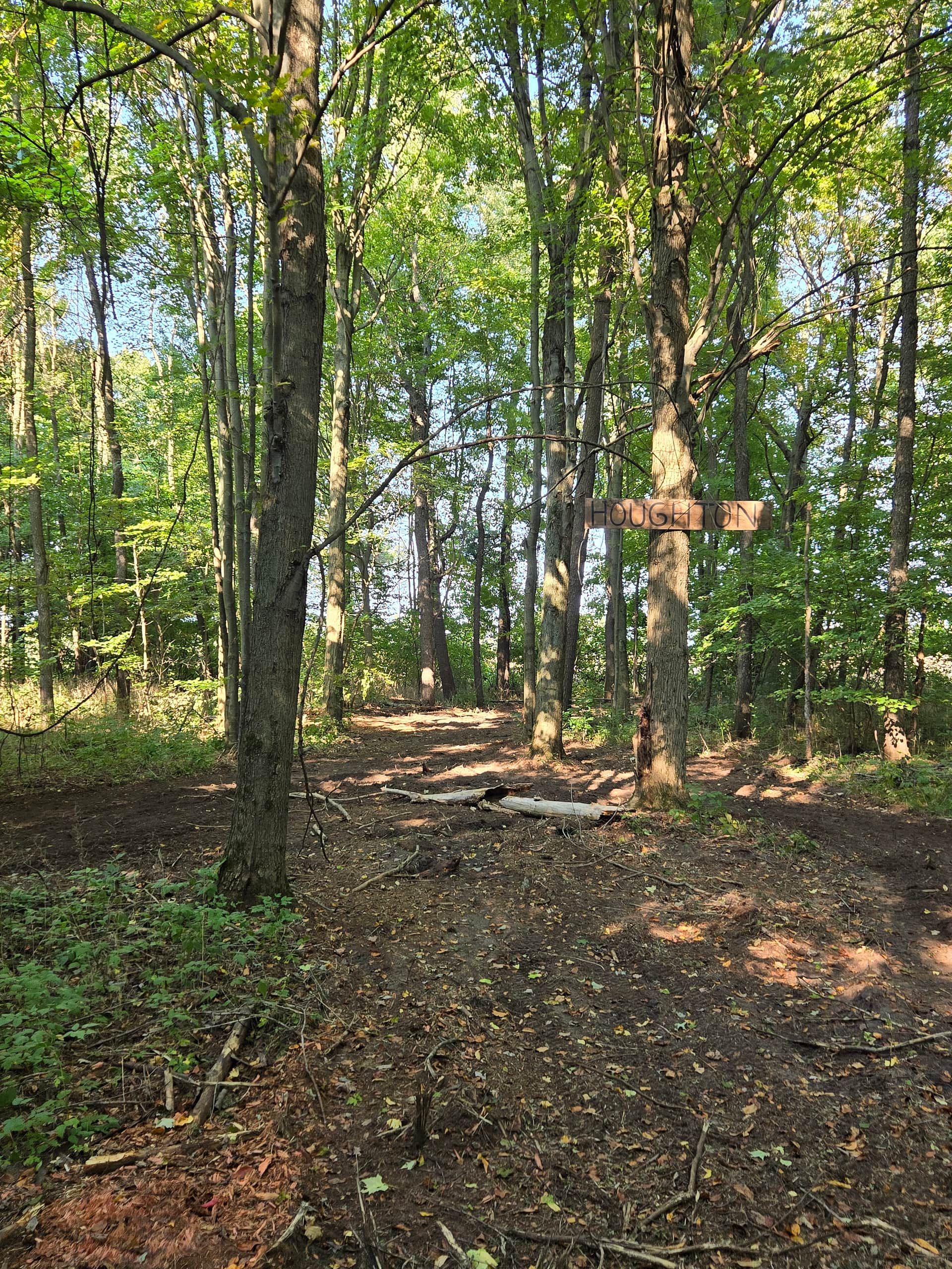 Spring Arbour Magic Forest &Trails!