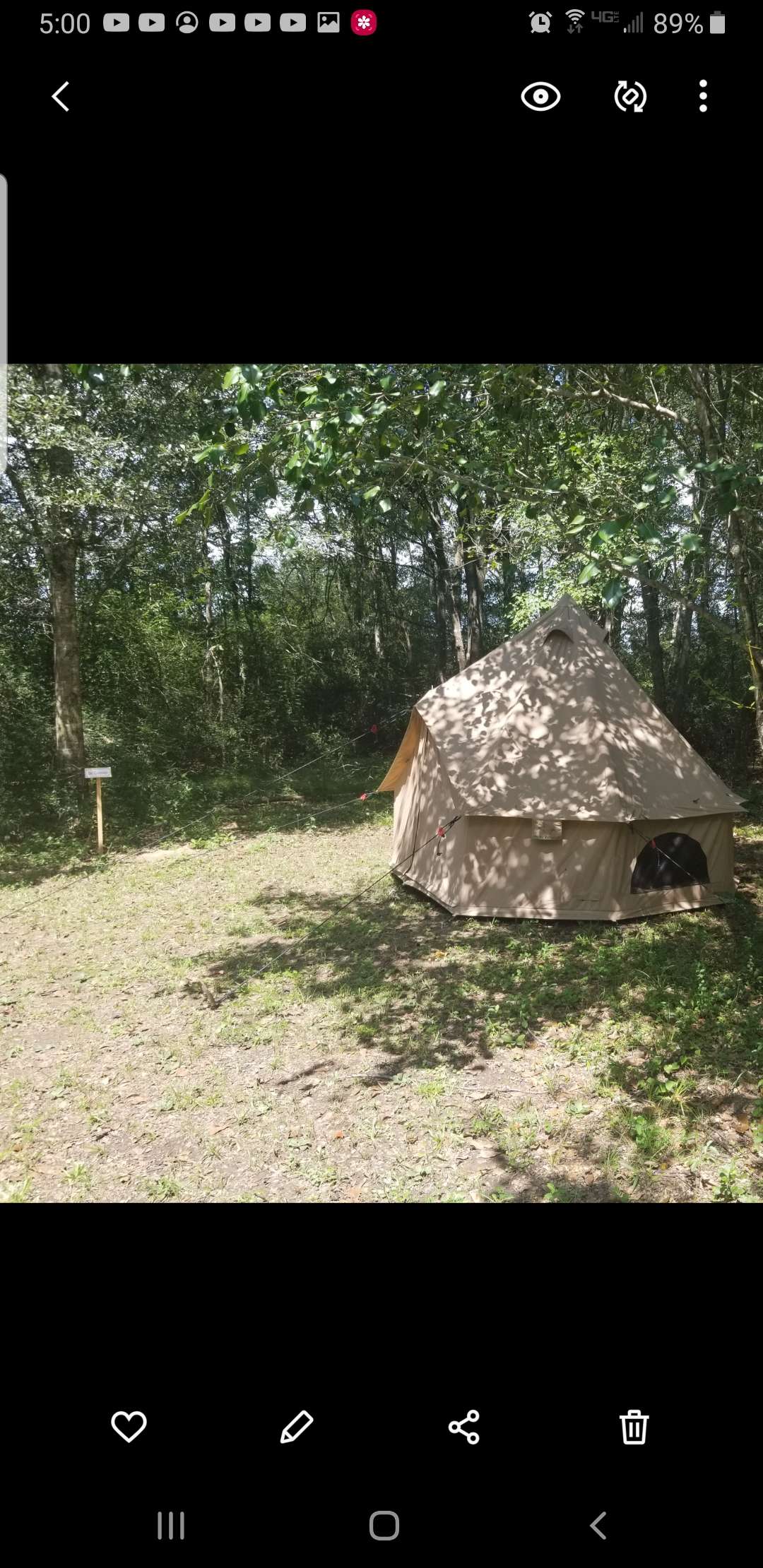 Picture of the site