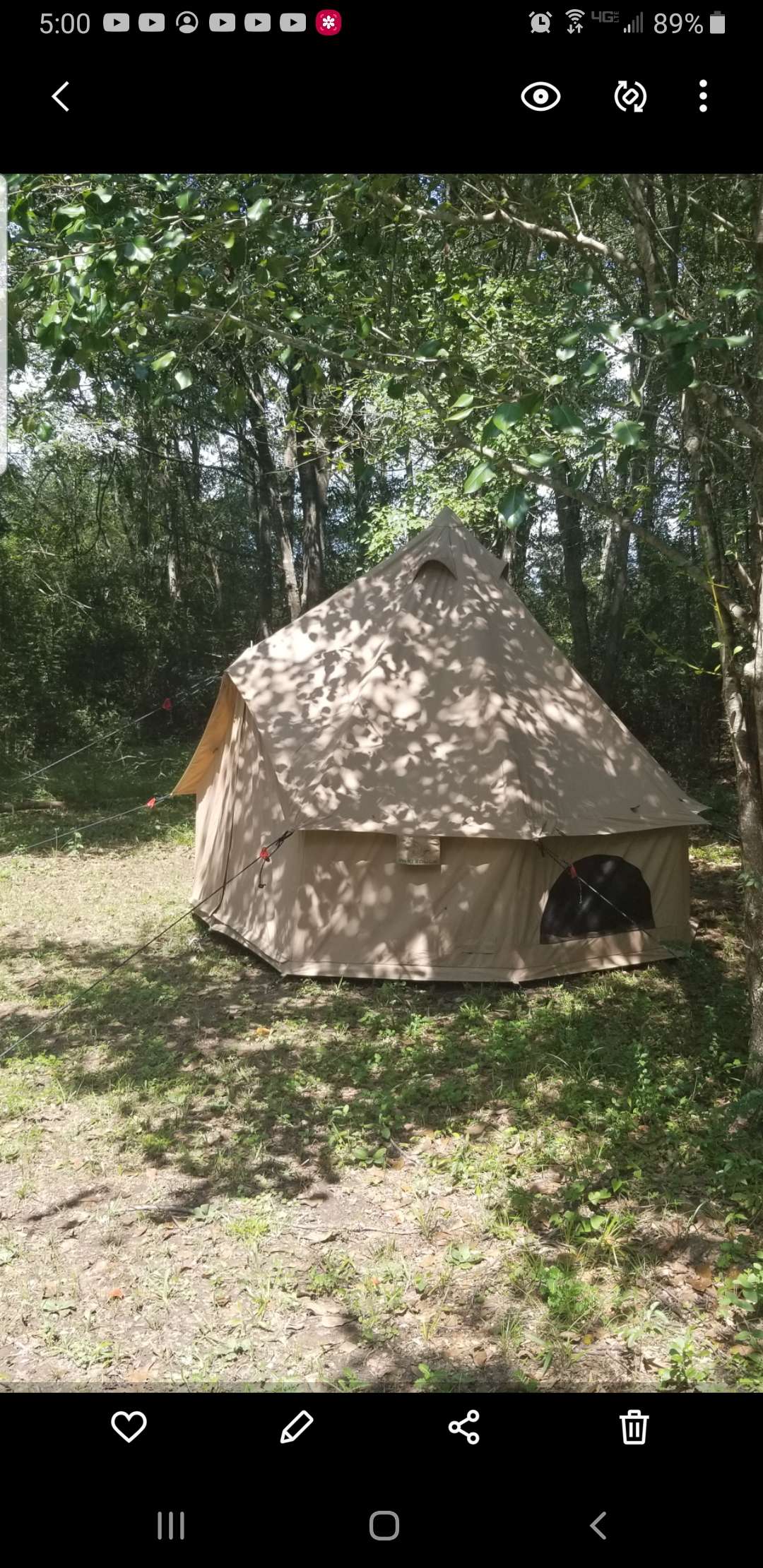 Picture of the site