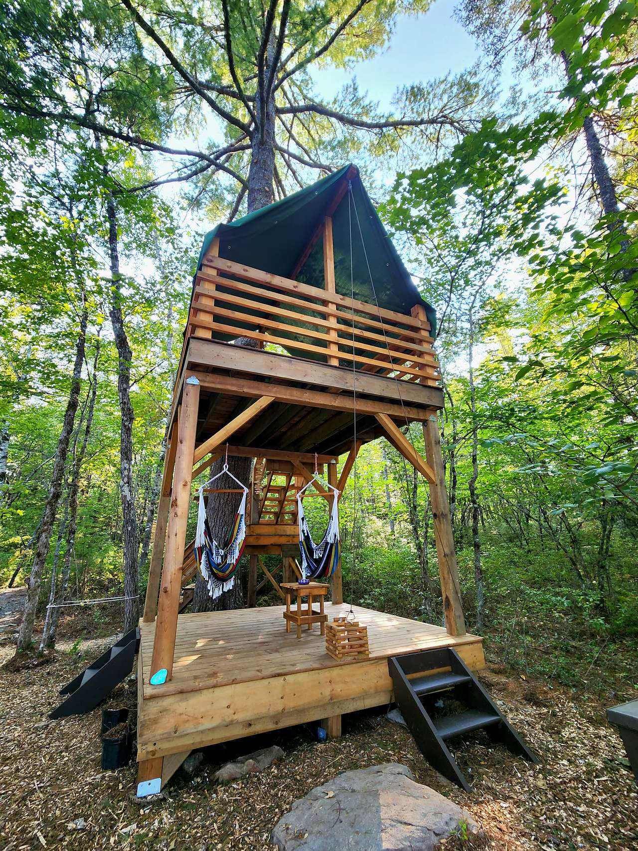 The Perch Pad with a covered 10x10