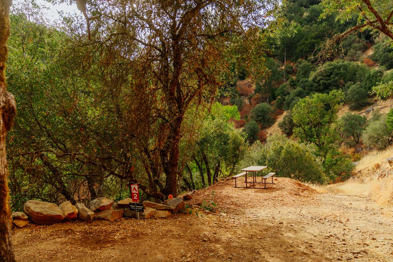 Strange Ranch - River and Gold