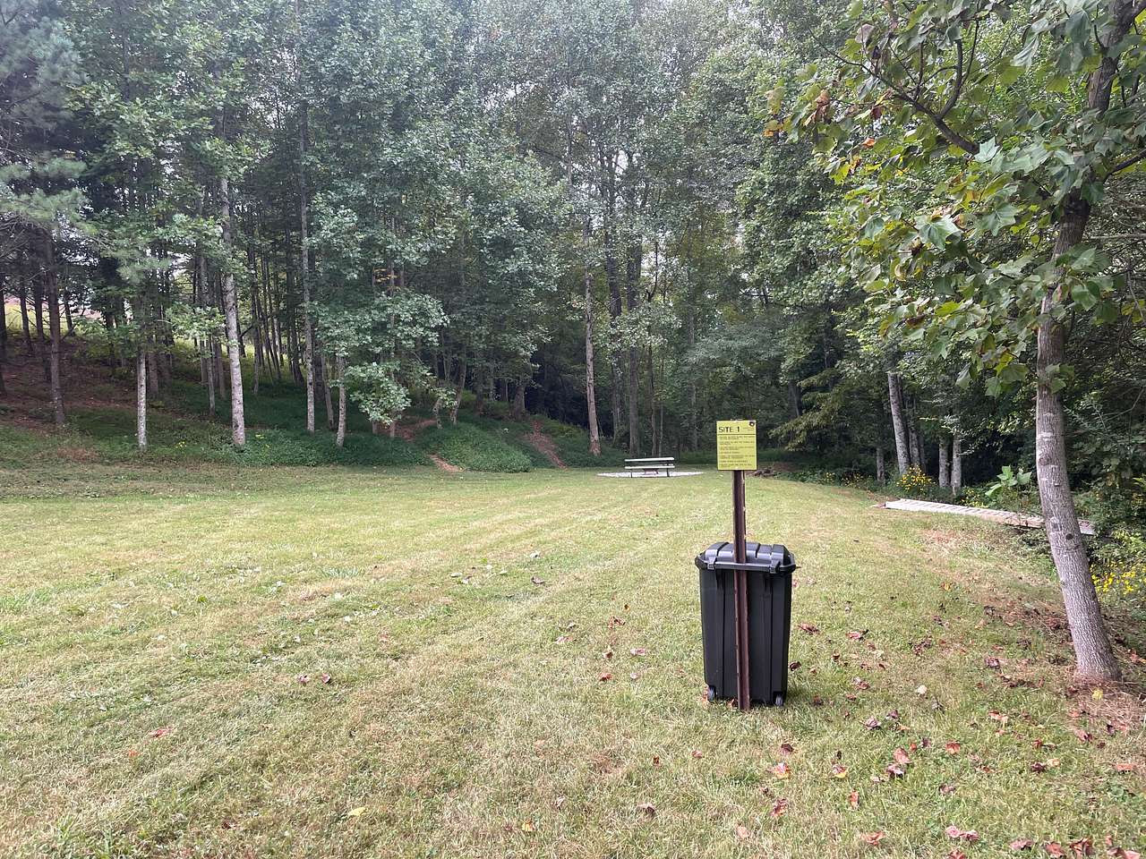 Picture of the site