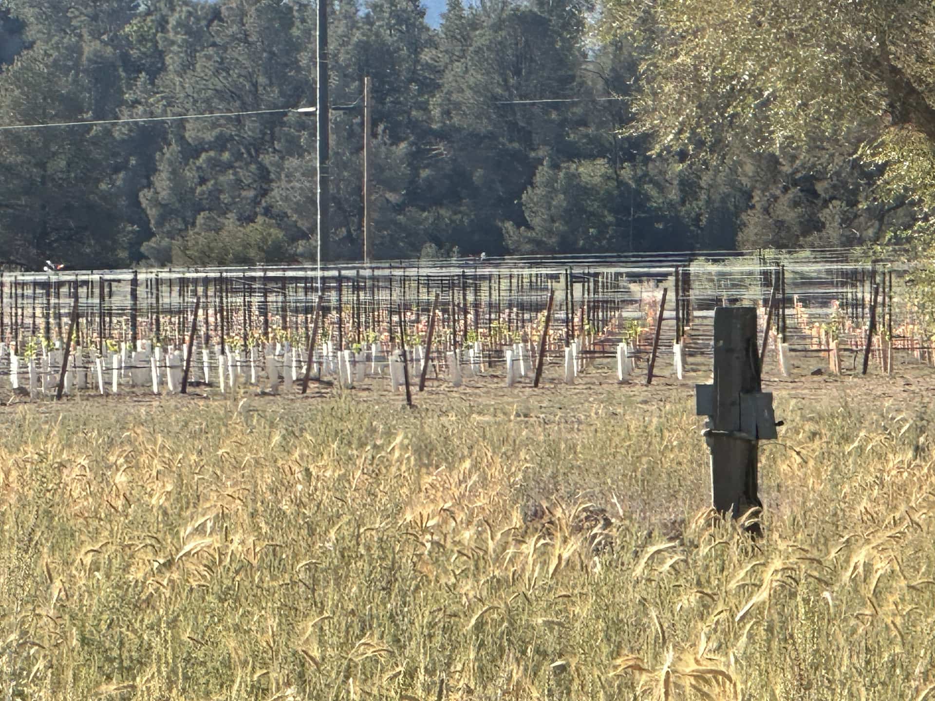 North Fork Ranch (Horses Welcome)